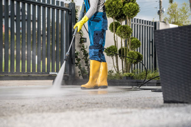 Best Rust Removal  in Benton Harbor, MI